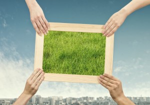 Frame with grass